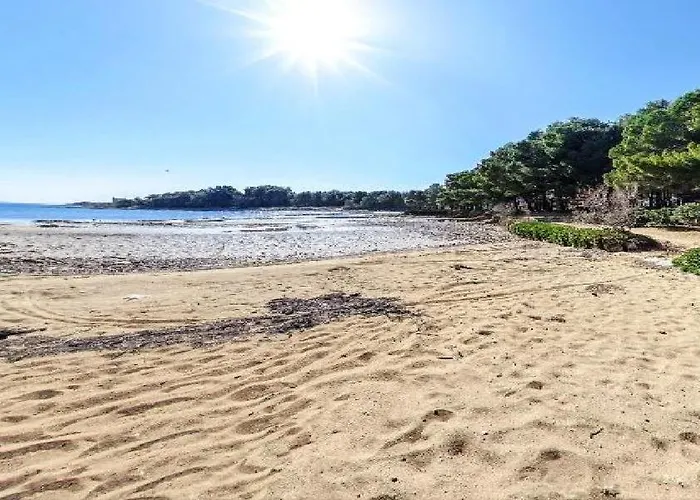 Summerhouse Blanka 2024 Vir