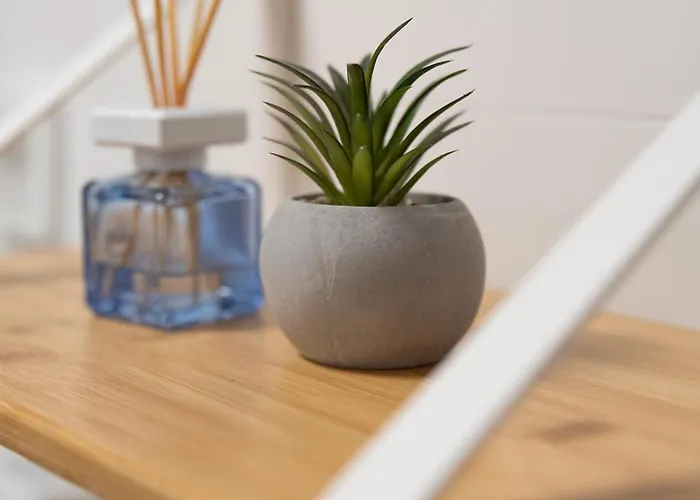 Summerhouse Blanka 2024 * Vir